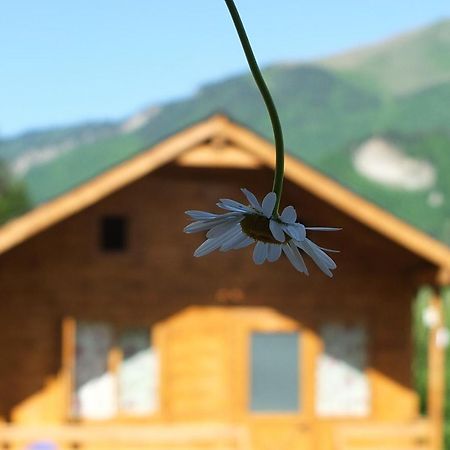 Mountain Cabins Mestia Dış mekan fotoğraf