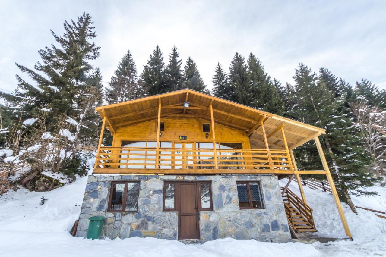 Mountain Cabins Mestia Dış mekan fotoğraf