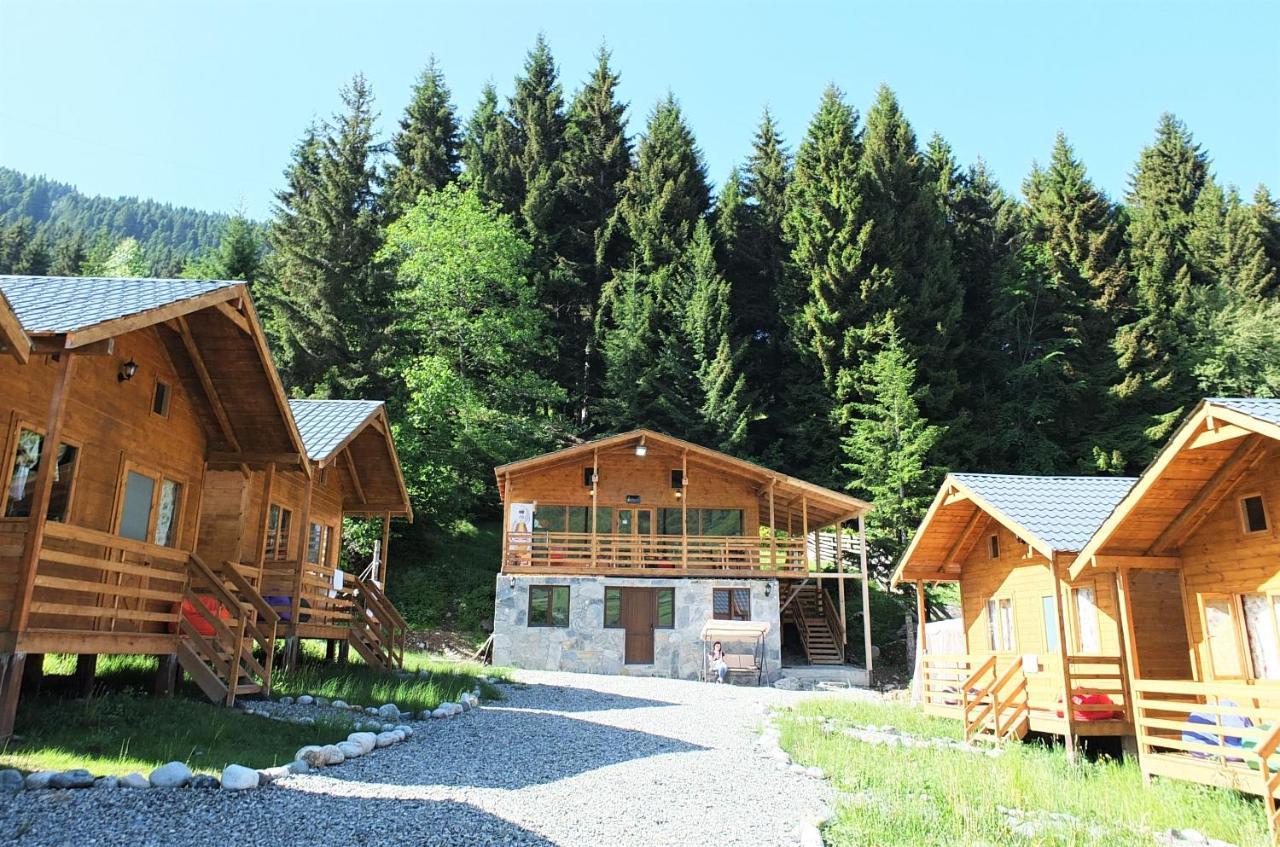 Mountain Cabins Mestia Dış mekan fotoğraf